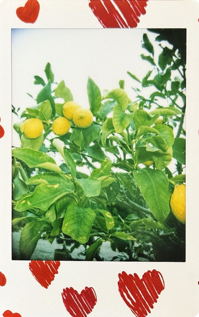 Lemonading - gibt dir das Leben Zitronen, mach Limonade daraus